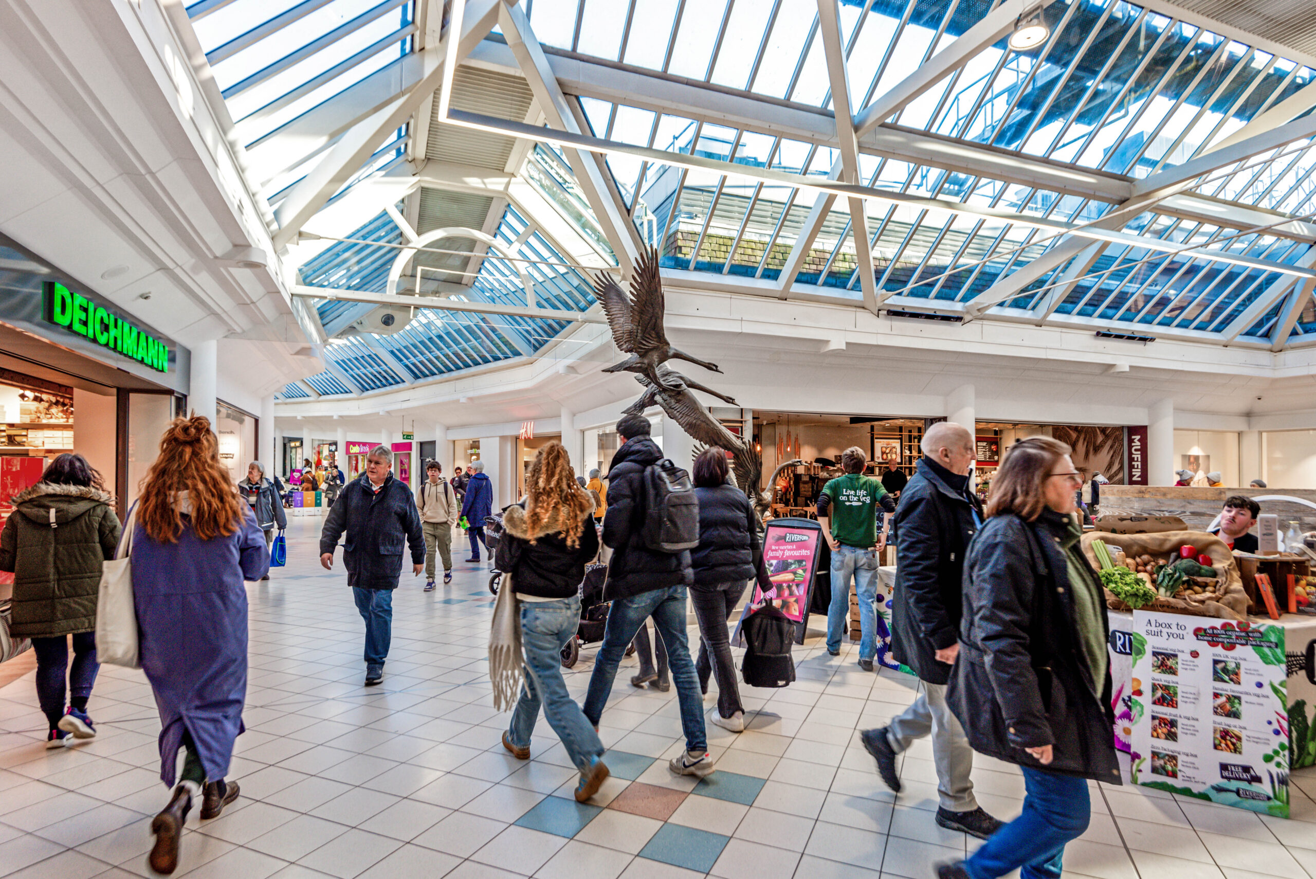 Success at Swan Walk, Horsham