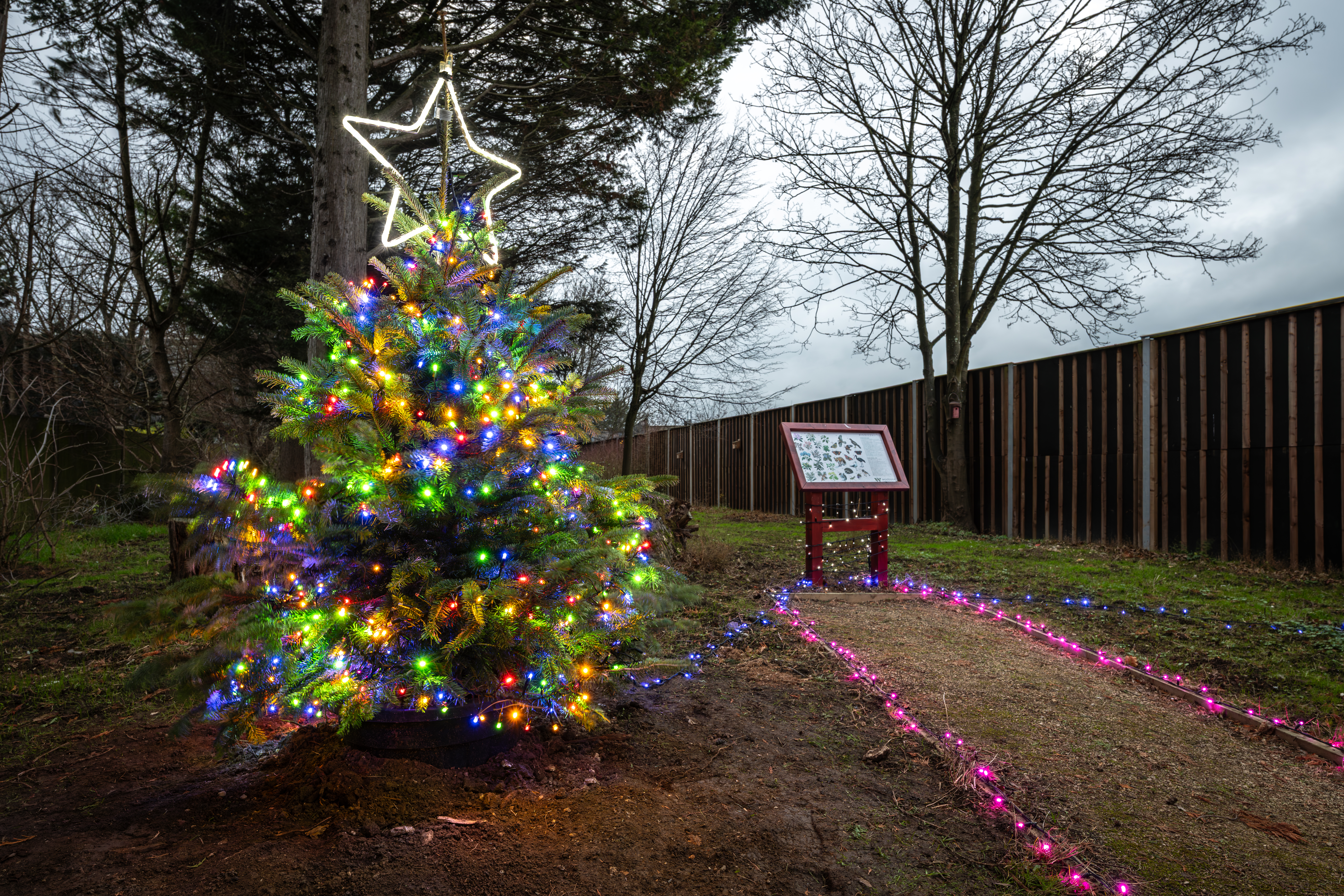 Woodside Winter Warmth Campaign